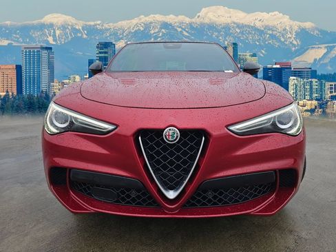 Used 2019 Alfa Romeo Stelvio Quadrifoglio image 2