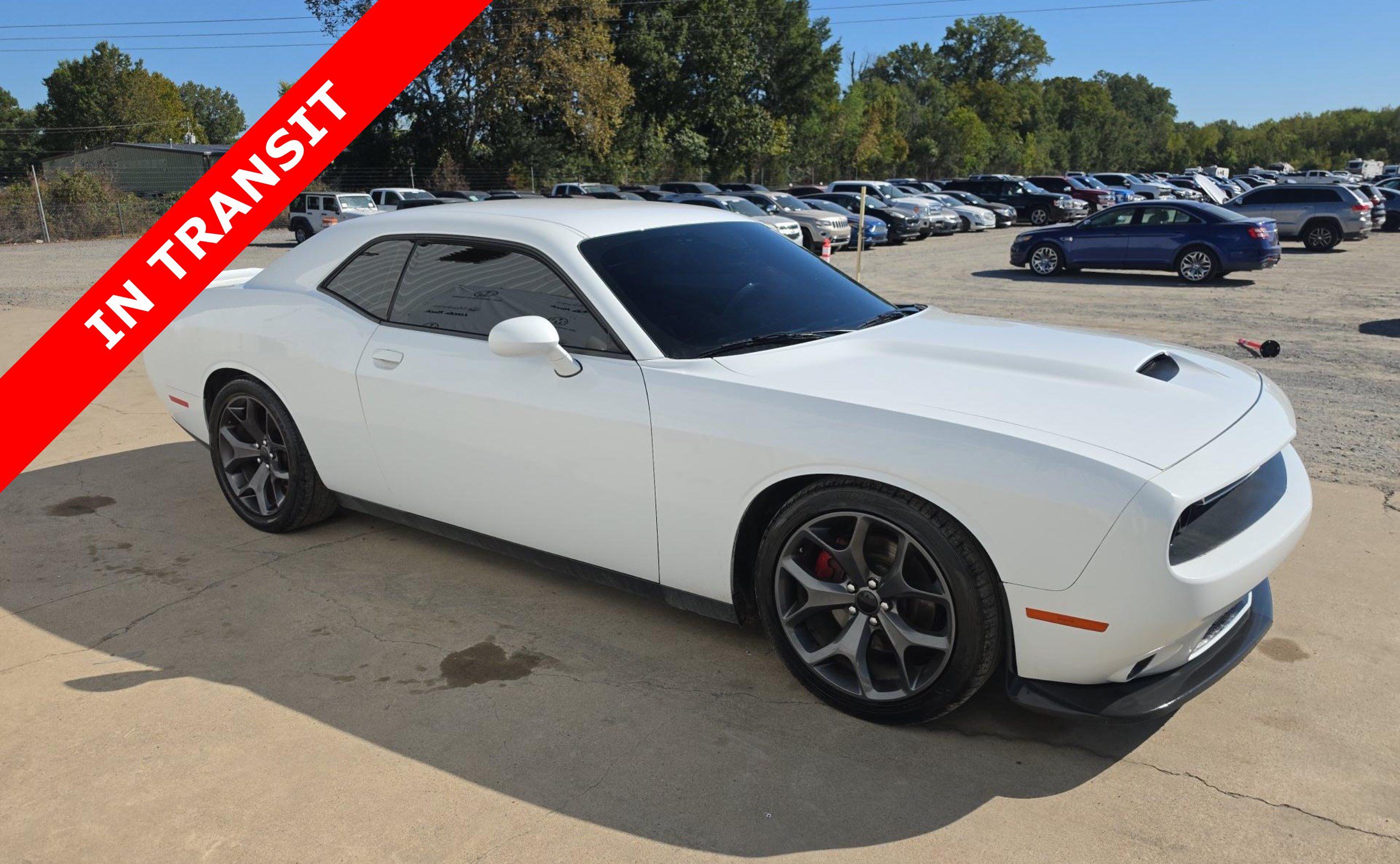 Used 2019 Dodge Challenger R/T RWD image 5