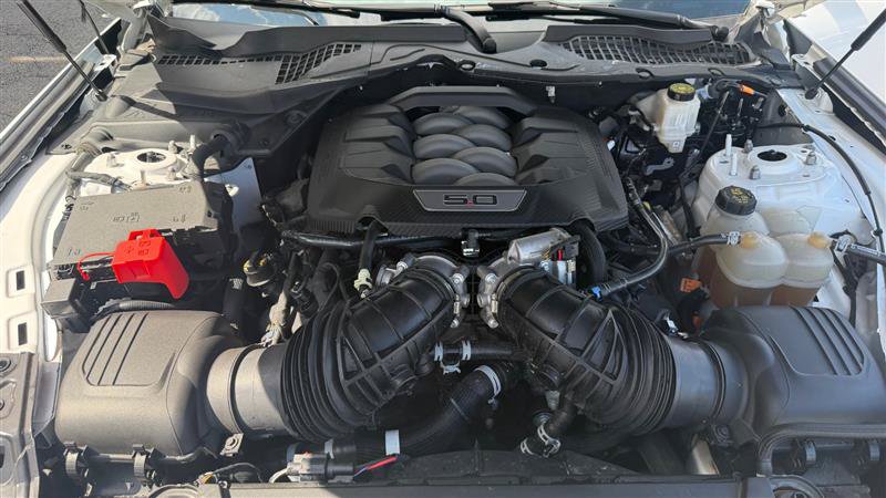 Used 2024 Ford Mustang GT RWD image 20
