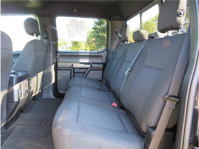 Used 2019 Ford F150 XLT w/ Equipment Group 302A Luxury AWD/4WD image 5
