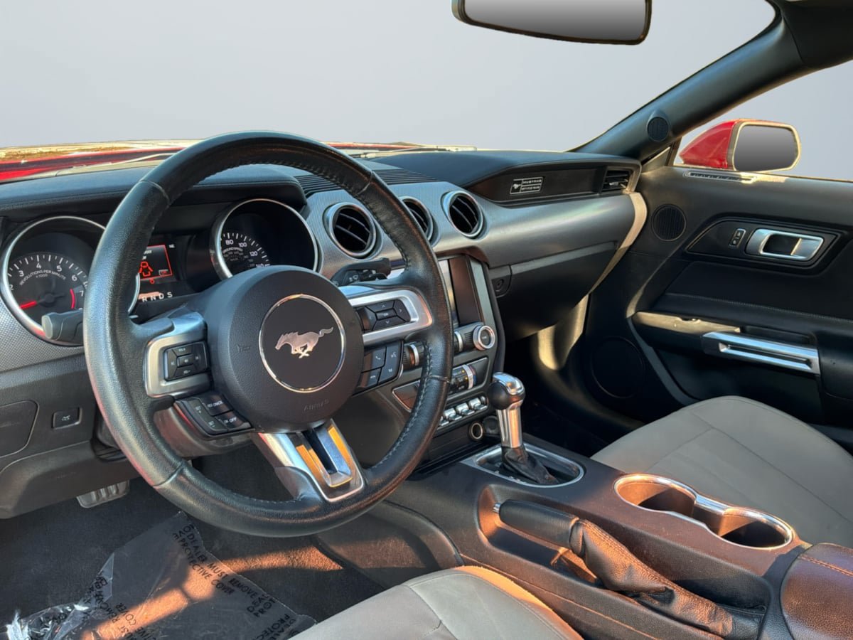 Used 2020 Ford Mustang Coupe w/ Equipment Group 101A RWD image 10