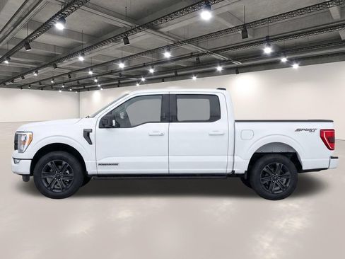Used 2023 Ford F150 XLT w/ Equipment Group 302A High AWD/4WD image 6