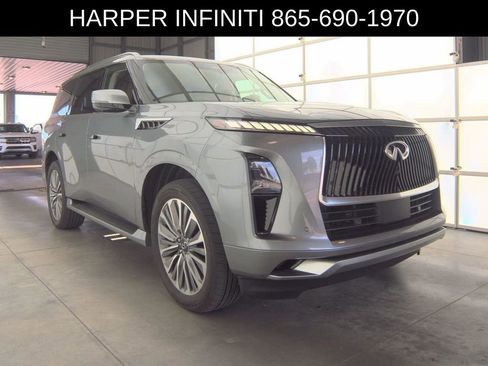 Used 2025 INFINITI QX80 Sensory image 4