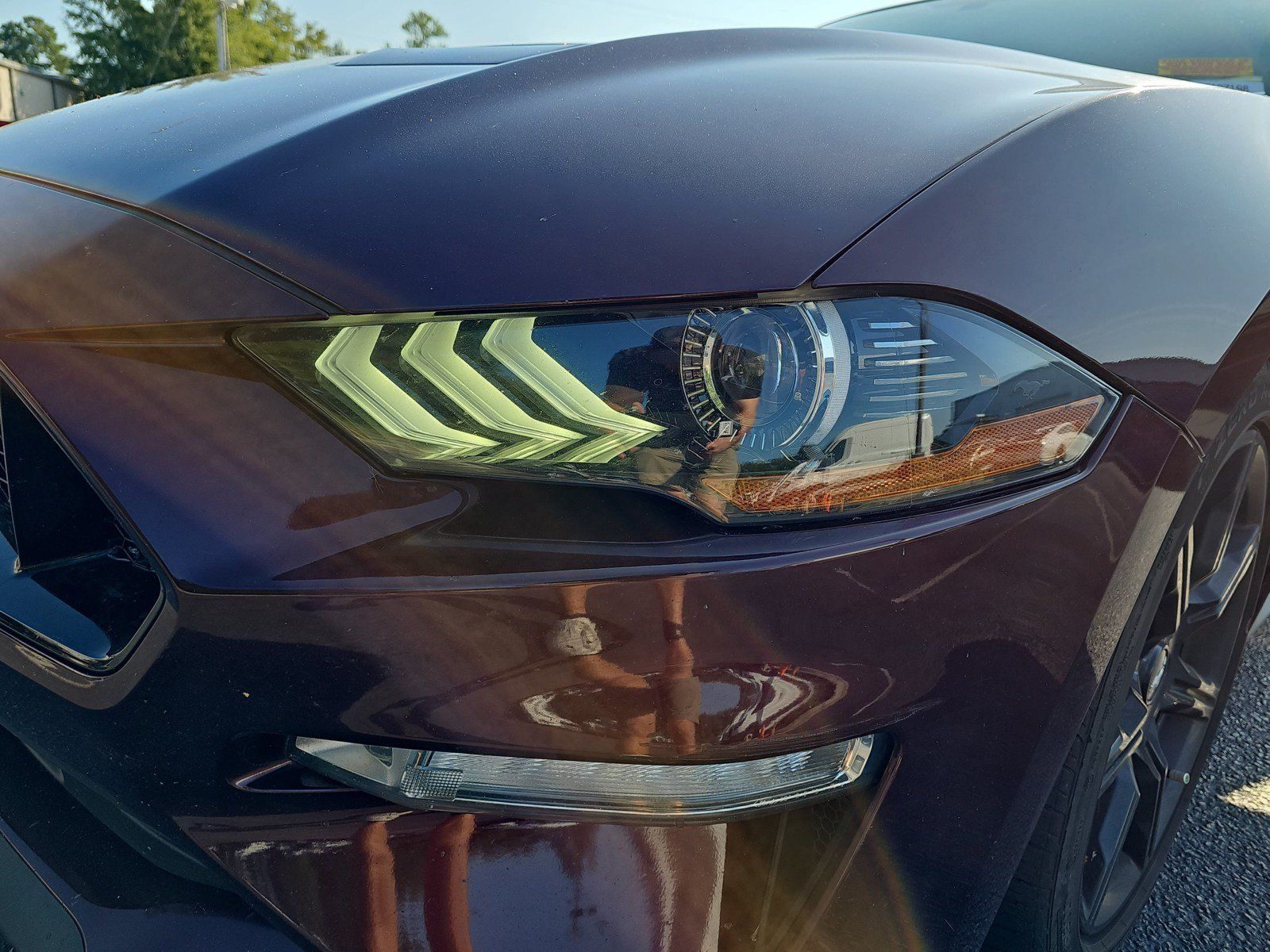 Used 2018 Ford Mustang GT w/ Equipment Group 301A RWD image 64