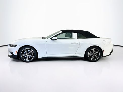 Used 2024 Ford Mustang Premium RWD image 4