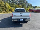 Used 2014 Ford F150 XLT w/ Equipment Group 302A Luxury image 6