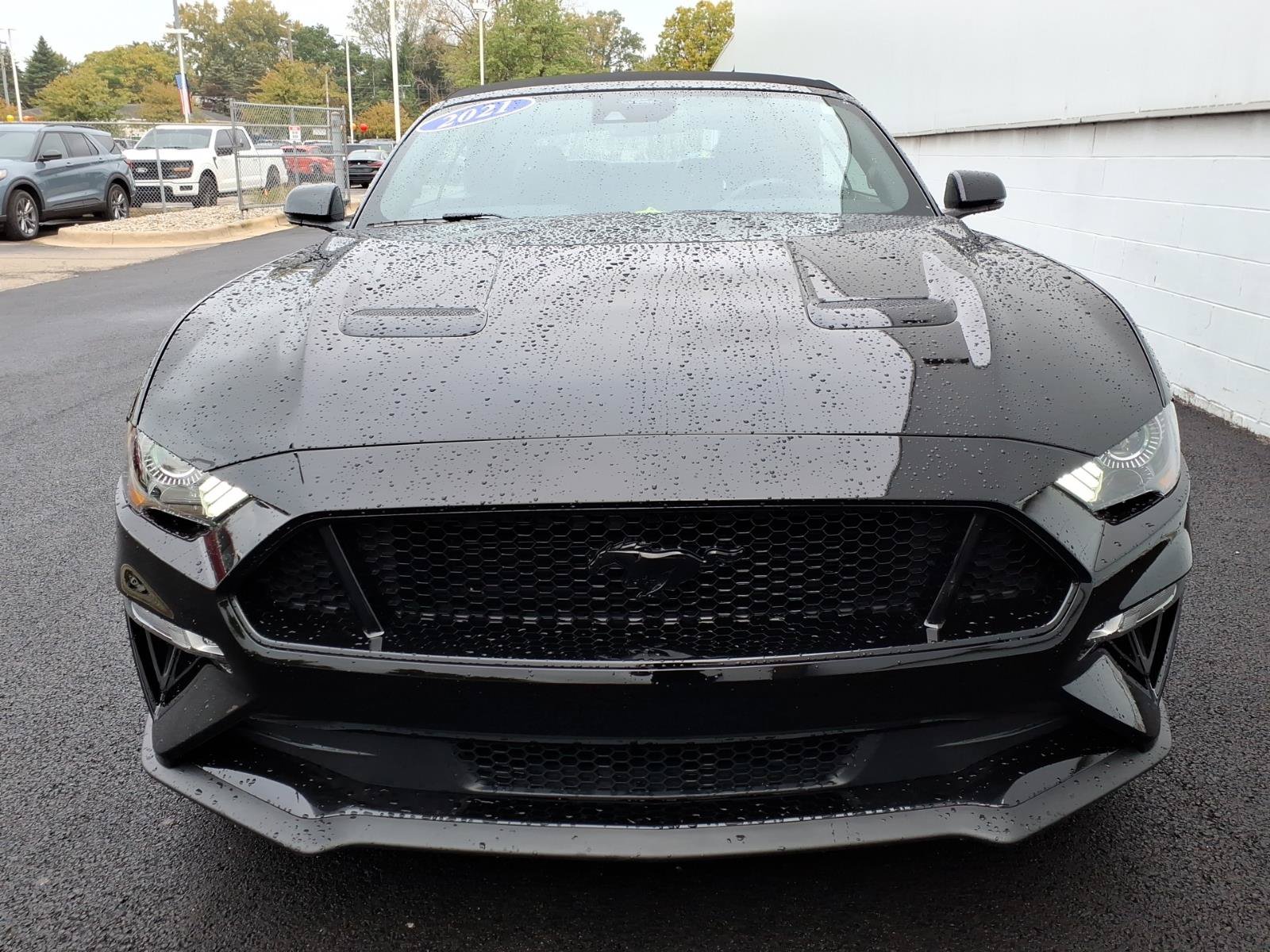 Used 2021 Ford Mustang GT Premium w/ Equipment Group 401A RWD image 2