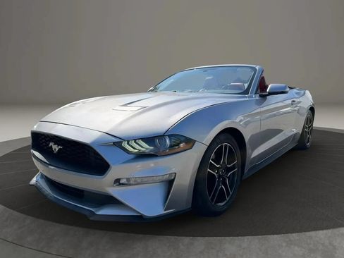 Used 2020 Ford Mustang Premium RWD image 1