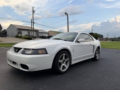 Used 2003 Ford Mustang Cobra