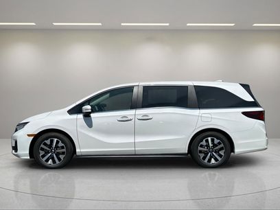 New 2026 Honda Odyssey EX-L