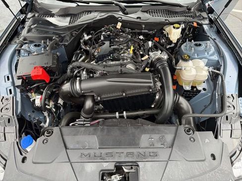 Certified 2024 Ford Mustang Premium image 9