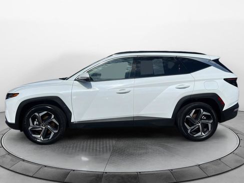 Used 2024 Hyundai Tucson Limited AWD/4WD image 6