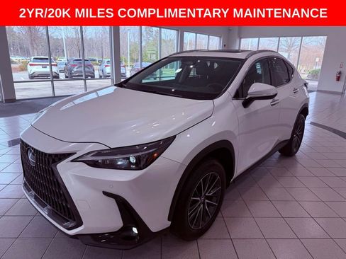 Certified 2024 Lexus NX 250 FWD w/ Cold Area Package image 3