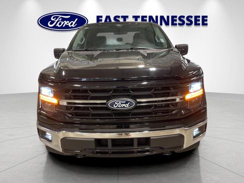 Used 2025 Ford F150 XLT w/ Equipment Group 301A Standard AWD/4WD image 9