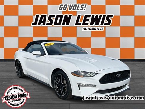 Used 2023 Ford Mustang Premium w/ Equipment Group 201A image 1