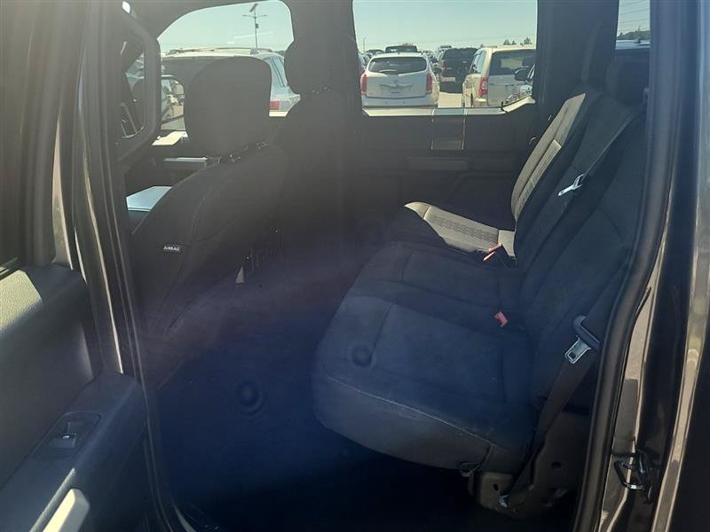 Used 2019 Ford F150 XLT w/ Equipment Group 302A Luxury AWD/4WD image 7