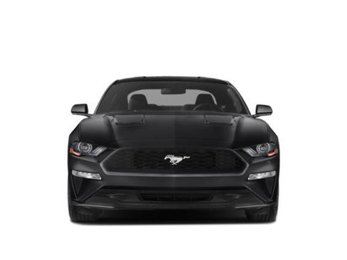 Used 2018 Ford Mustang GT RWD image 4