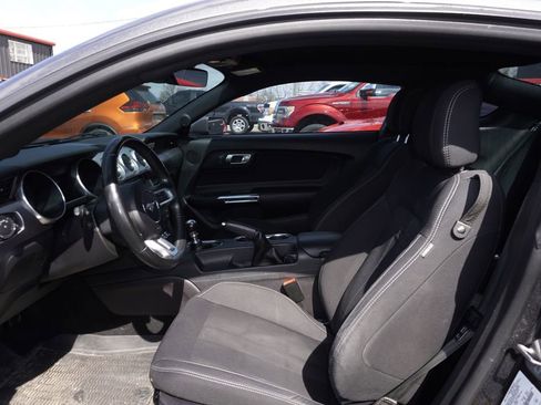 Used 2019 Ford Mustang GT w/ Equipment Group 301A image 3