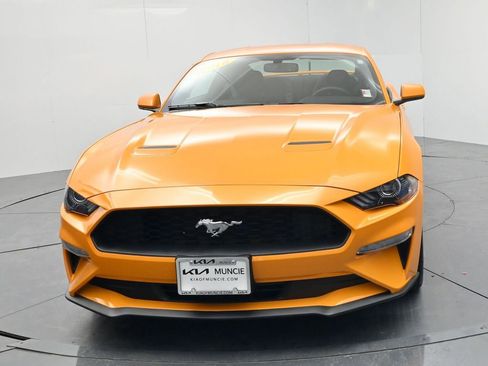 Used 2018 Ford Mustang Coupe w/ Ecoboost Performance Package image 3
