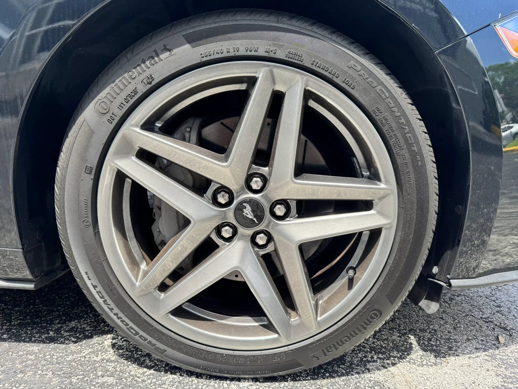 Used 2021 Ford Mustang GT RWD image 15