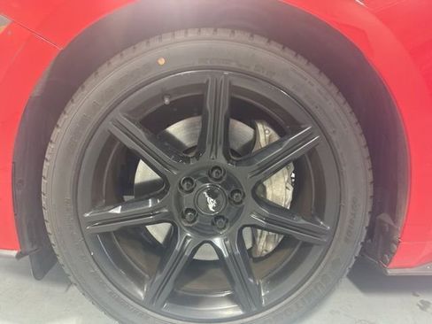 Used 2019 Ford Mustang GT w/ Black Accent Package image 11