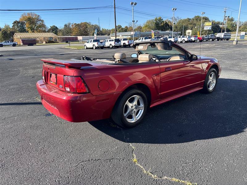 Used 2003 Ford Mustang Convertible RWD image 6