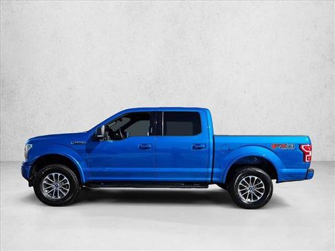 Used 2019 Ford F150 XLT w/ Equipment Group 302A Luxury image 8