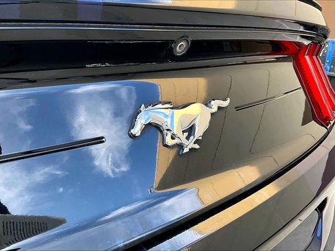 Used 2019 Ford Mustang Coupe w/ Equipment Group 101A RWD image 28