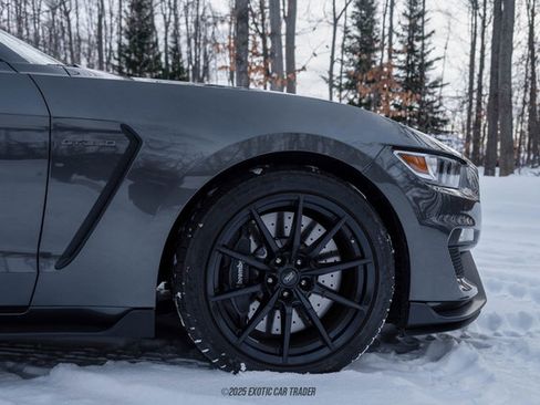 Used 2015 Ford Mustang Shelby GT350 image 11