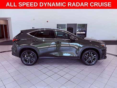 Certified 2025 Lexus NX 350h AWD w/ Cold Area Package image 10