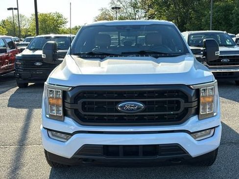 Used 2023 Ford F150 XLT w/ Equipment Group 302A High AWD/4WD image 6