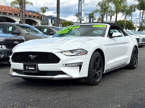 Certified 2019 Ford Mustang Premium image 4