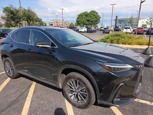 Used 2025 Lexus NX 350h AWD w/ Rear Seat Package image 3