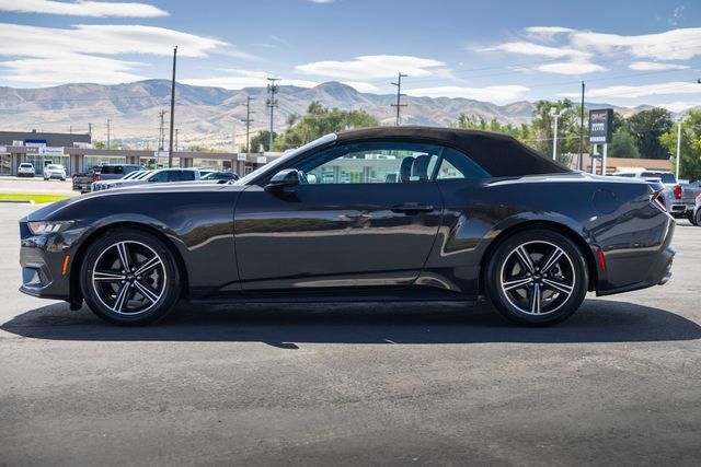 Used 2024 Ford Mustang Premium RWD image 3