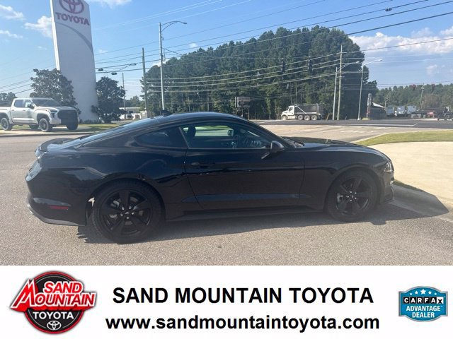 Used 2023 Ford Mustang Coupe w/ Equipment Group 101A RWD image 2