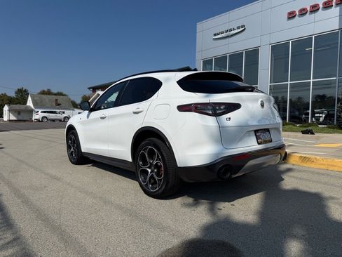 Used 2024 Alfa Romeo Stelvio Ti image 6