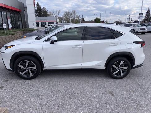 Used 2020 Lexus NX 300h AWD w/ Premium Package image 3