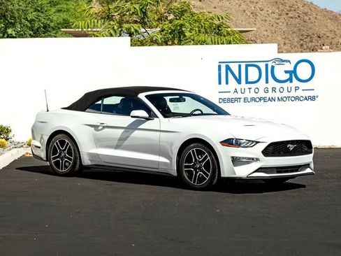 Used 2019 Ford Mustang Premium RWD image 5