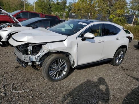 Used 2025 Lexus NX 350h AWD w/ Luxury Package image 3