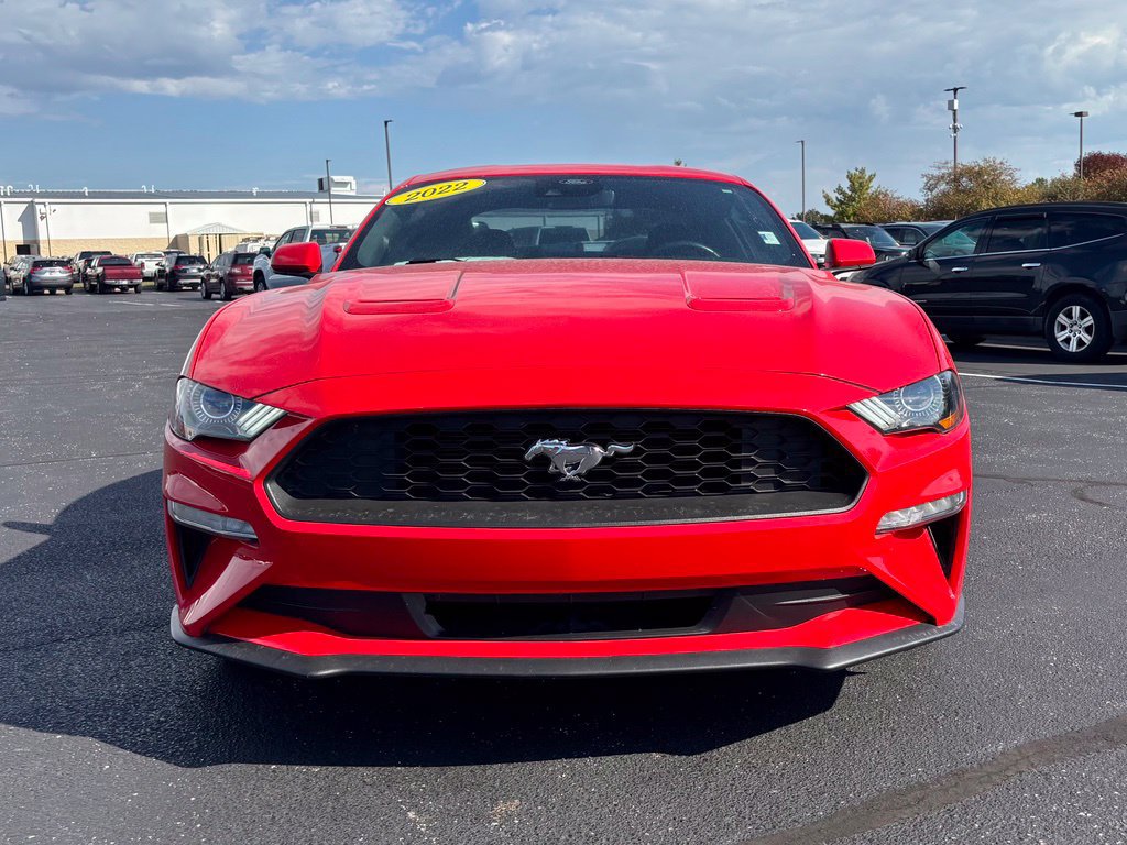 Used 2022 Ford Mustang Coupe w/ Equipment Group 101A RWD image 10