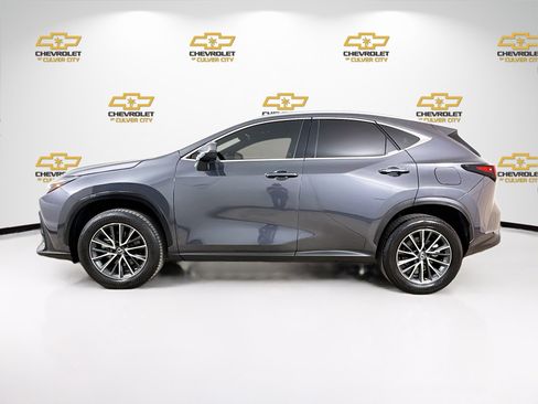 Used 2023 Lexus NX 350 AWD image 4