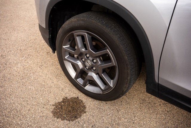 Used 2022 Honda Passport EX-L image 12
