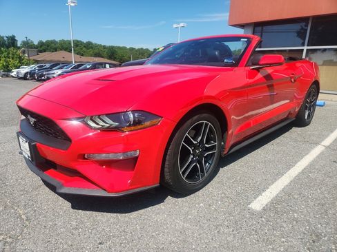 Used 2023 Ford Mustang Premium RWD image 4