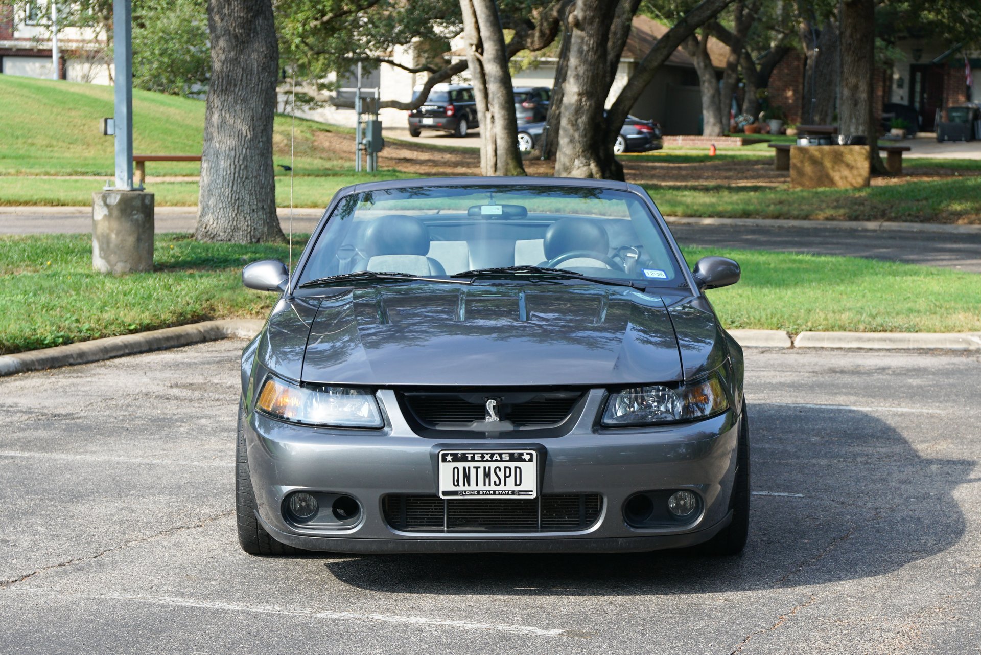Used 2003 Ford Mustang Cobra RWD image 13