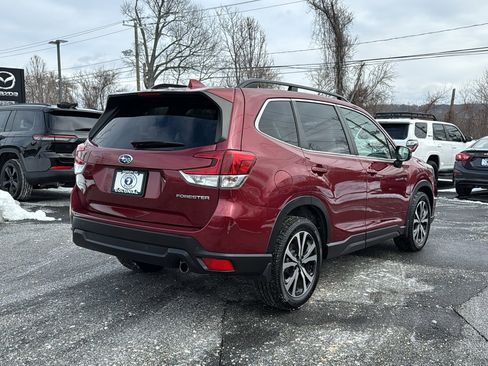 Used 2019 Subaru Forester Limited image 3