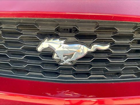 Used 2017 Ford Mustang Premium RWD image 23