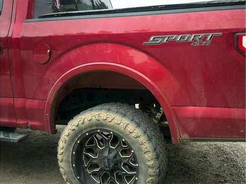 Used 2019 Ford F150 XLT w/ Equipment Group 302A Luxury AWD/4WD image 5