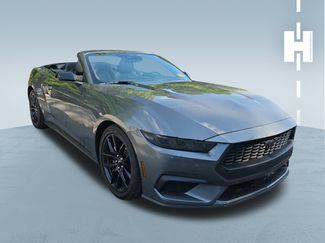 Used 2025 Ford Mustang Convertible w/ Mustang Nite Pony Package RWD video 1