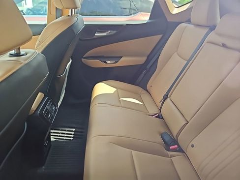 Used 2025 Lexus NX 350h AWD w/ Accessory Package (2T) image 6