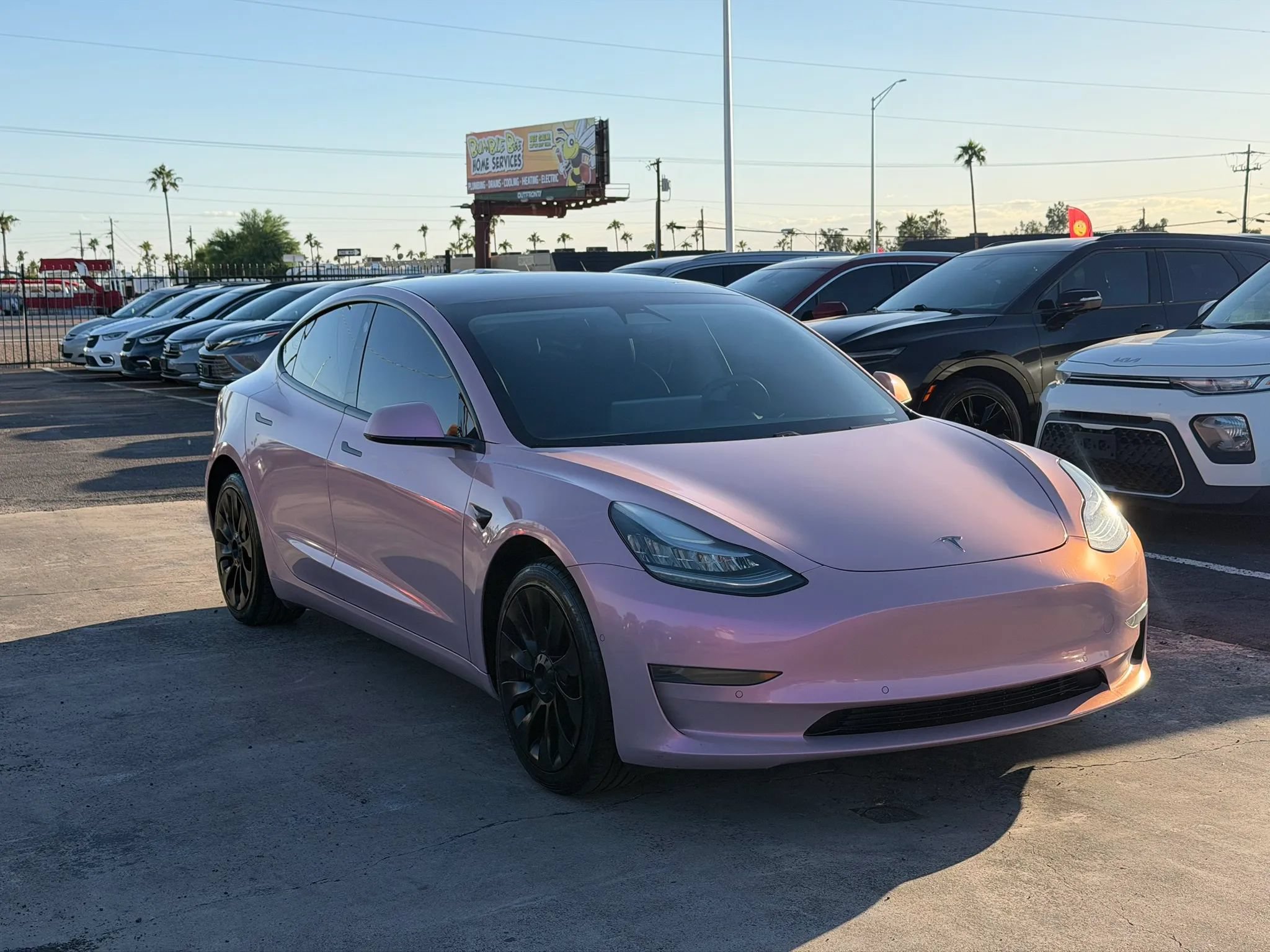 Used 2020 Tesla Model 3 Standard Range Plus RWD image 14